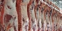 زمان قطعی واردات گوشت گوسفندی اعلام شد
