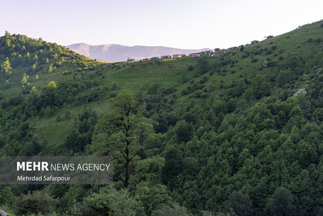 4203540_MehrdadDehkordi_22