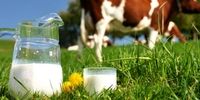 میزان تولید شیر خام  در کشور چقدر است؟