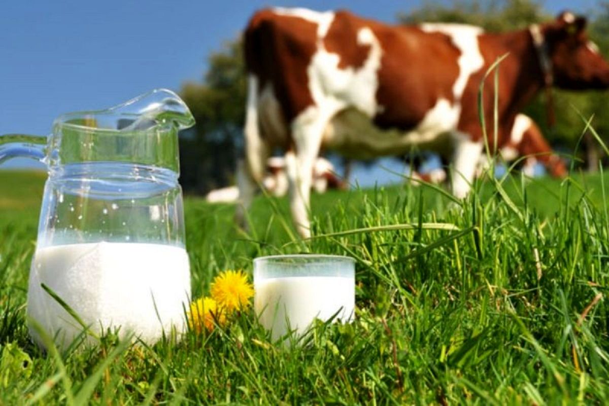 میزان تولید شیر خام در کشور چقدر است؟