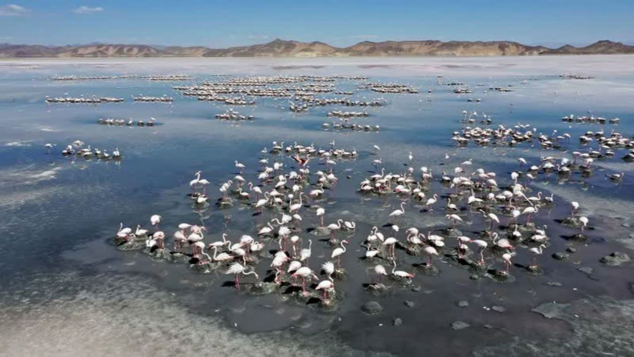 تالاب بختگان جان گرفت