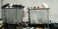 درآمد میلیاردی مافیای زباله در یک ماه!
