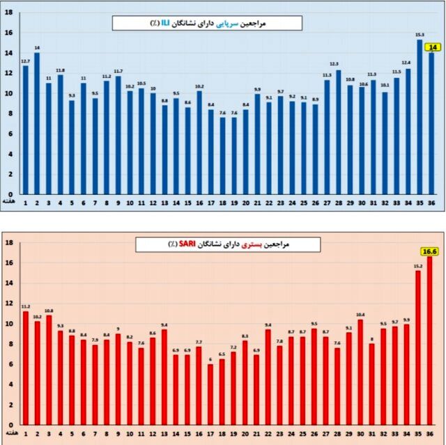 جولان آنفلوآنزا در کشور / وضعیت ابتلا در این 7 استان بدتر است 2