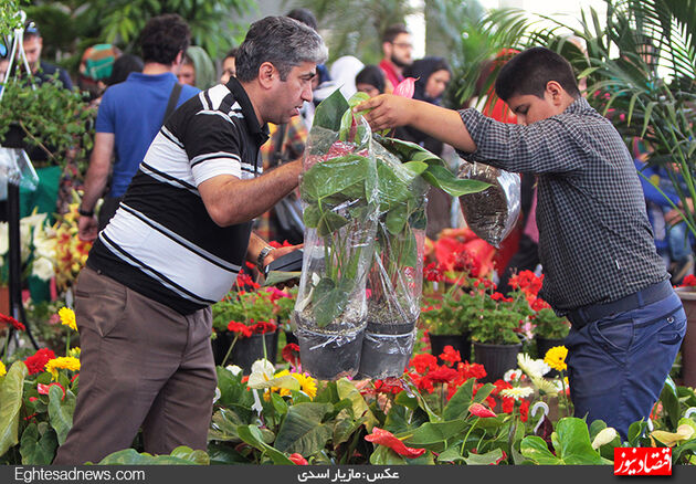 گزارش تصویری آخرین روز نمایشگاه گل‌وگیاه تهران