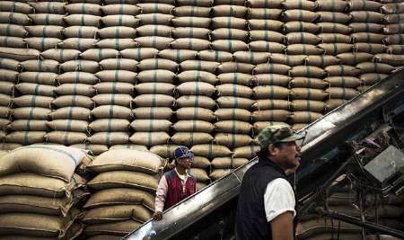 دولت نظامی تایلند ازکاهش قیمت جهانی برنج نگران است