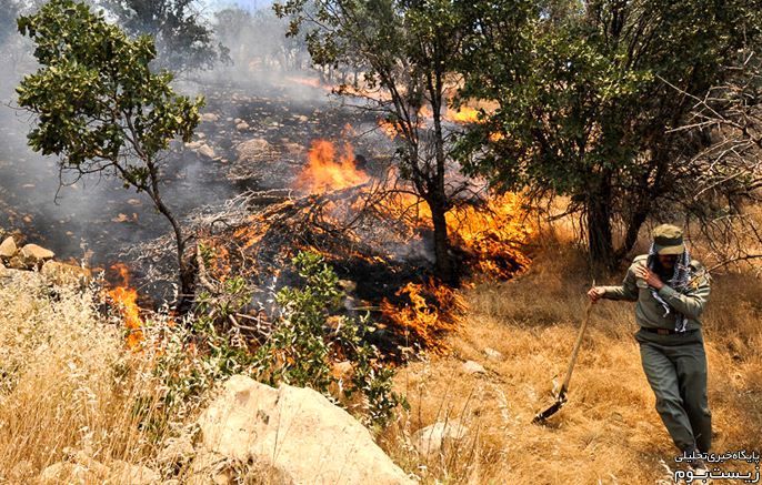 چه محصولاتی در آتش‌سوزی ایلام سوختند؟/ارتباط آتش‌سوزی و دام‌های ایلامی‌ها