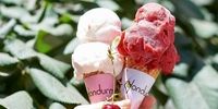 10 فروشگاه بستنی در استانبول و آنتالیا در سال 2022