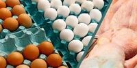 قیمت مصوب مرغ و تخم‌مرغ اعلام شد
