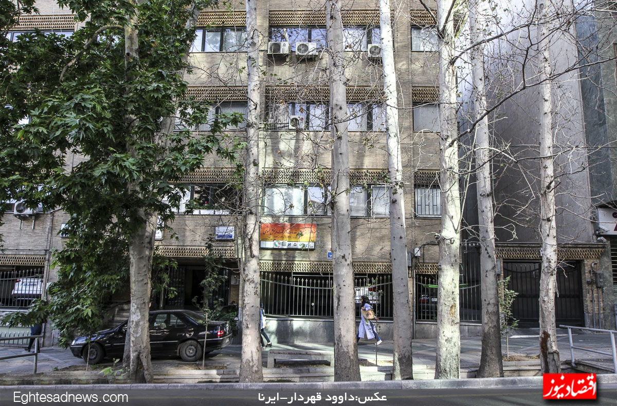نقش مترو در خشک شدن چنارهای ولیعصر 