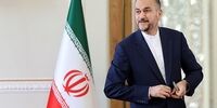 فوری/ امیرعبداللهیان دقایقی پیش وارد ژنو شد 