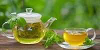 مزایا و مضرات چای سبز که از آن بی خبر بودید
