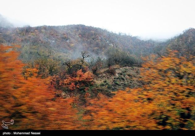 پاییز هزار رنگ در گرگان