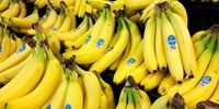 قیمت موز کاهش یافت