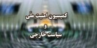 دو عضو  کمیسیون امنیت ملی مشخص شدند