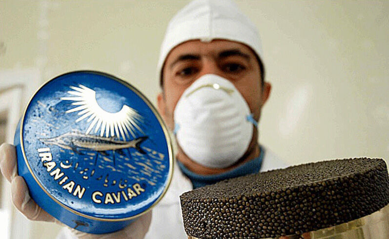 درآمد کشور از صادرات خاویار چقدر است؟