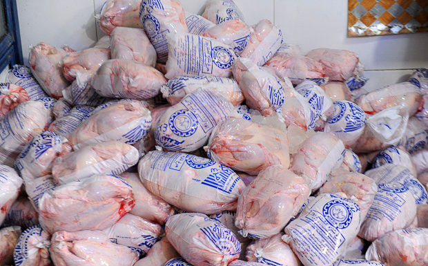 ۱۰ هزار تن مرغ منجمد به بازار عرضه شد