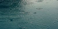 آب در ایران قربانی چه کسانی شده است؟