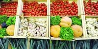 معجزه گیاه بد بو برای بدن 