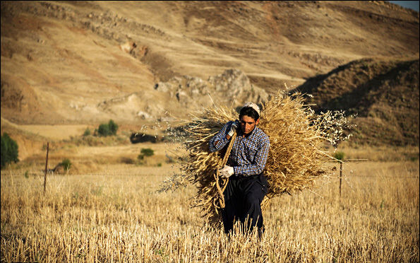 تورم روستایی به 31.1 درصد رسید / مرکز آمار ایران نرخ تورم روستایی در اردیبهشت ماه امسال را ۳۱.۱ درصد اعلام کرد.