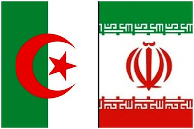 الجزایر: محکومیت، کشتار جمعی در غزه را متوقف نمی‌کند / باید فشارها به رژیم صهیونیستی افزایش یابد 2