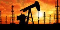 سقوط نفت در پی بحران جهانی انرژی