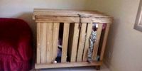 پدر و مادری که دوقلوهای ۳ ساله‌ خود را در قفسی چوبی حبس می کردند دستگیر شدند+ عکس