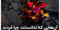 کودکانی که در جنگ 12 روزه به شهادت رسیدند +فیلم