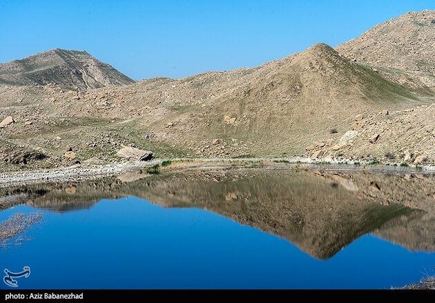 image10