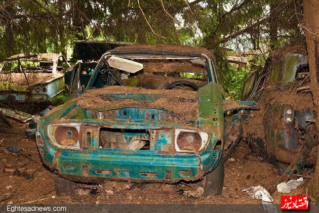 جنگل اتومبیل‌های بلژیک؛ از شایعه تا واقعیت