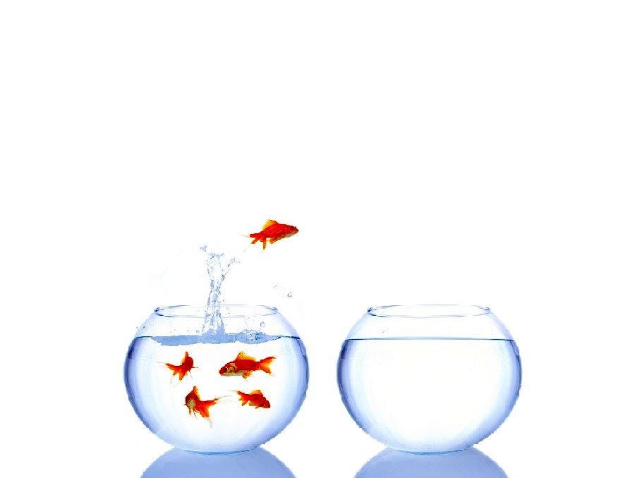 4 سوالی که پس از موفقیت در مصاحبه شغلی باید از خود بپرسید