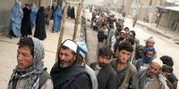 هشدار جدی پلیس به کارفرمایان: استخدام اتباع غیرقانونی جرم است/ دیگر پذیرای اتباع نیستیم