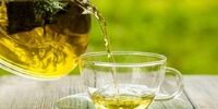معرفی مهمترین مواد غذایی برای لاغری