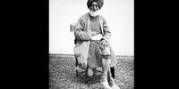 چرا دیوان‌سالاری در دوره قاجار پویا نبود؟
