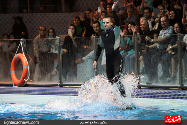 دلفین‌ها به برج میلاد رسیدند (گزارش تصویری)