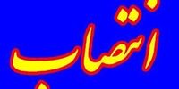 «محمدعلی افتخاری» رئیس سازمان اموال تملیکی شد


