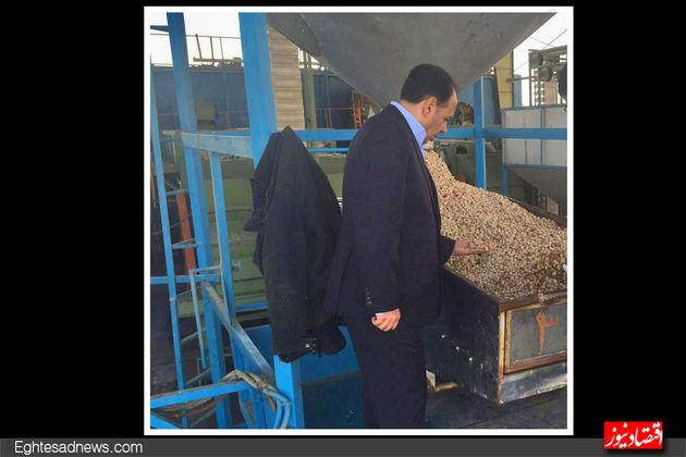 کارخانه فرآوری پسته رئیس اتاق ایران(گزارش تصویری)