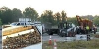 یک میلیون زنبور در بزرگراه رها شدند /۴۰هزار دلار خسارت در یک تصادف+عکس