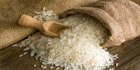 قیمت جدید برنج در بازار/ برنج هاشمی کیلویی چند؟