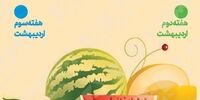 کاهش قیمت  ۸ میوه پرمصرف در میادین میوه و تره بار