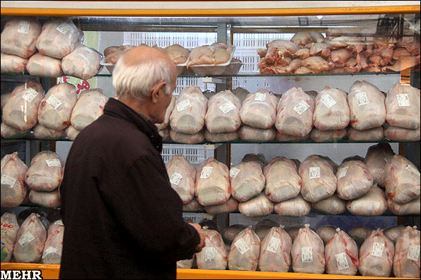 قیمت مرغ ۲۰ هزار و ۴۰۰ تومان است/ برخورد با گران فروشان مرغ