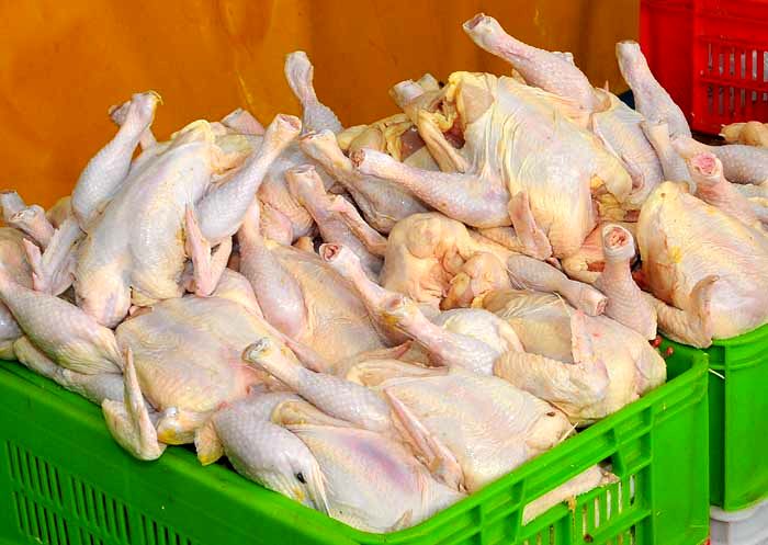 قیمت جدید مرغ در بازار امروز تهران 