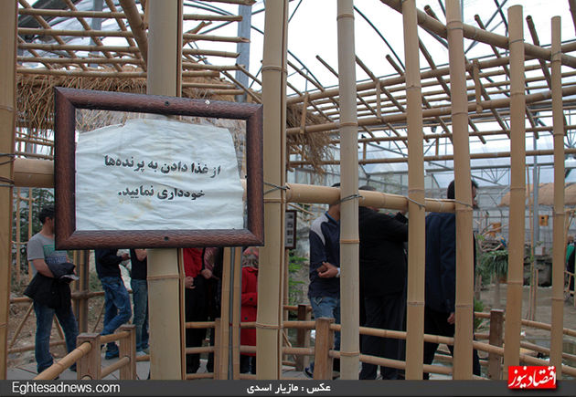 به پرندگان چیپس و پفک ندهید