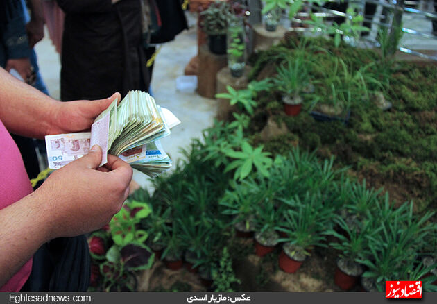 گزارش تصویری آخرین روز نمایشگاه گل‌وگیاه تهران