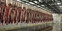 افزایش 40 درصدی عرضه گوشت قرمز در کشتارگاه‌ها