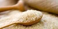 قیمت جدید برنج طارم در بازار
