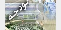  توسعه اشتغال محور اصلی برنامه های دولت در لایحه بودجه 