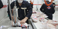 فروش مرغ تکه‌ای در برخی مغازه‌ها

