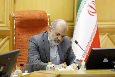 واکنش وزیر کشور به ادعای حمایت دولت از یک لیست انتخاباتی