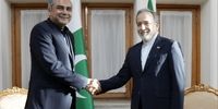  وزیر کشور پاکستان با عراقچی دیدار کرد