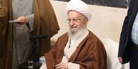 فتوای آیت‌الله مکارم درباره همستر اعلام شد